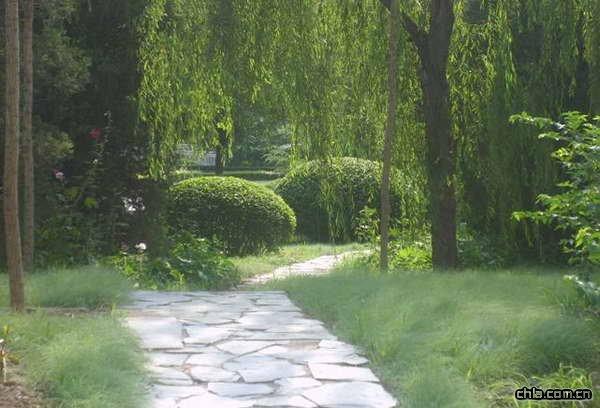 北京市海天花园绿化工程_园林绿化作品鉴赏_中国风景园林网|中国风景